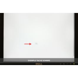 Ecran Plat 17'' DELL UltraSharp 1707FP - Déclassé - 17" - Déclassé