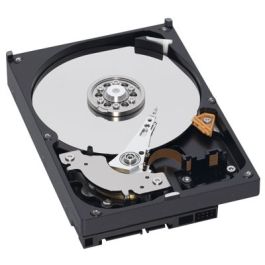 Western Digital Caviar Blue WD2500AAJS - 3.5'' - 250 Go - SATA II 3GB/S