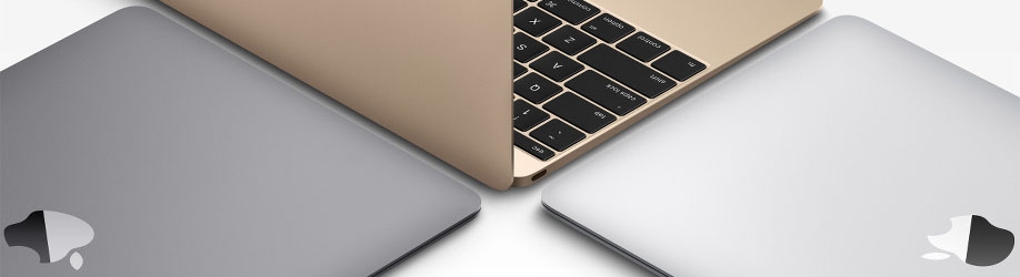 Écran MacBook 12" A1534 Silver état Fonctionnel